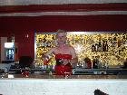 TocaDisco -  Live is just a party, willst du mit mir feiern?